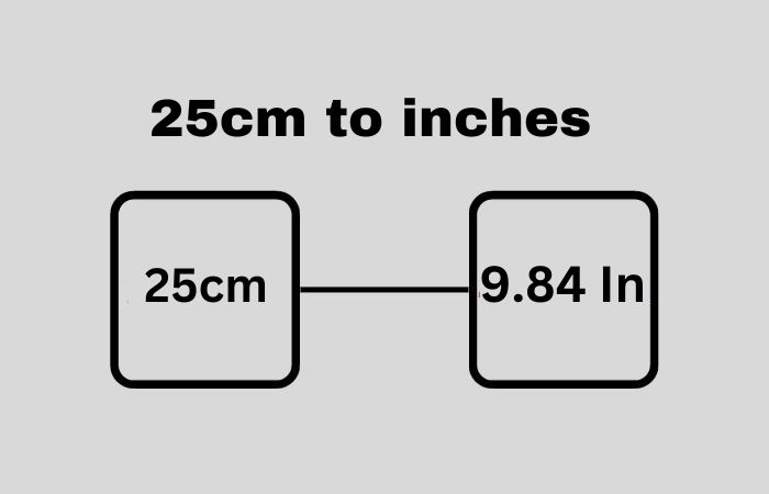25cm to inches