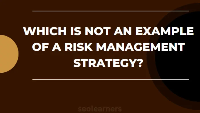 Which is not an example of a risk management strategy?