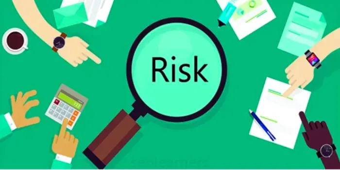 Which is not an example of a risk management strategy?
