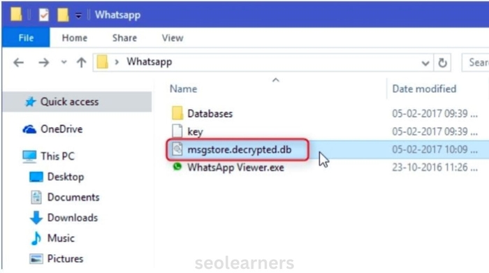 How to read encrypted whatsapp messages