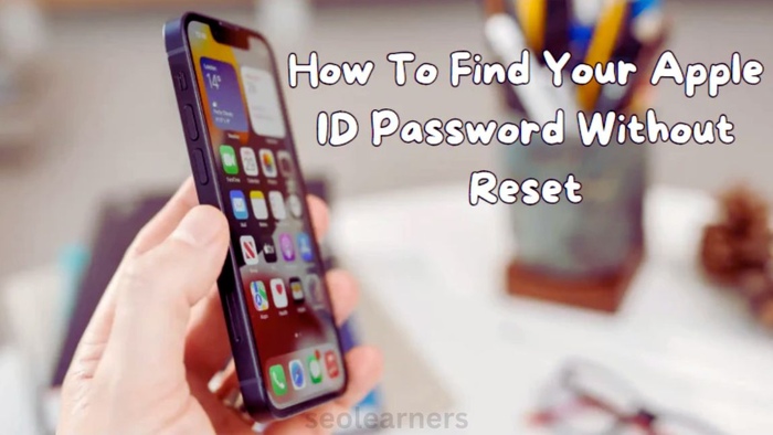 How to find apple id password without resetting it